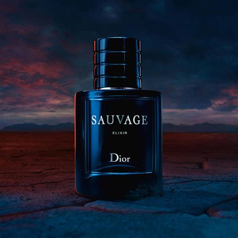 sauvage dior parfum heren|dior sauvage best price.